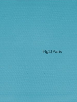 cover image of A Hedonist's guide to Paris